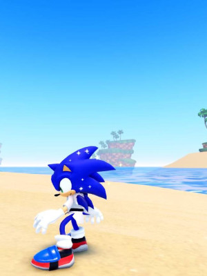 karate sonic