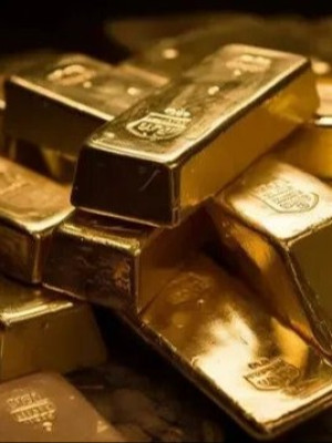 продам 2464 голда кома на мне