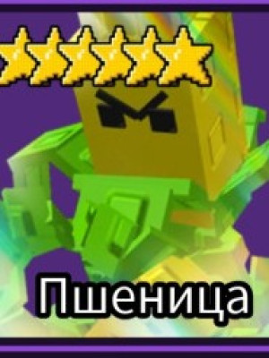 Пщеница
