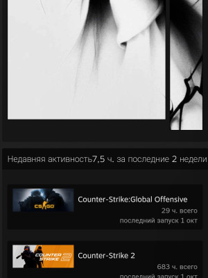 Акк в кс2