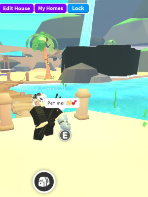 Sandbox island house