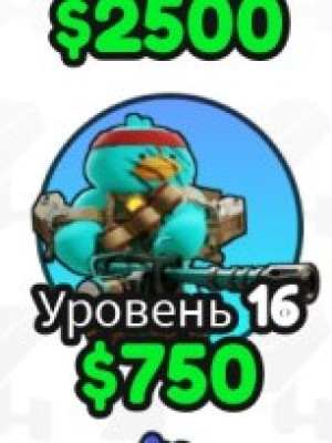 Утка