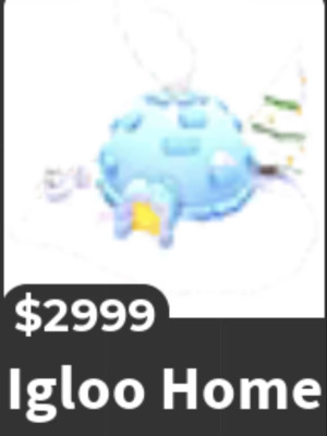 igloo home