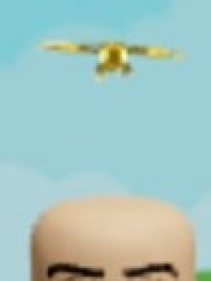 Tiny Dragonfly
