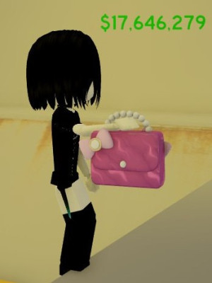🌸 Pink Purse🌸