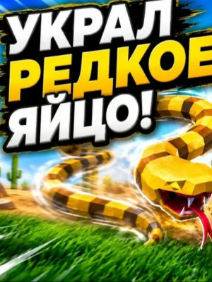Добуду вам любые яица 3 штуки