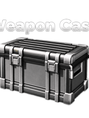 WEAPON CASE
