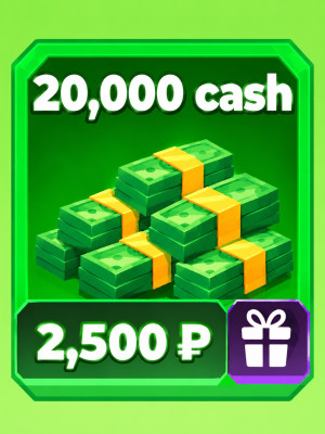 20000 cash