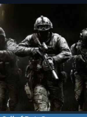 выдам оффлайн акаунт call of duty:)