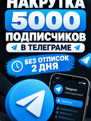 НАКРУЧУ 5000 ПОДПИСЧИКОВ БЕЗ ОТПИСОК 2 ДНЯ