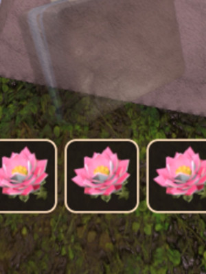 BRIEFCASE + 3 LOTUS