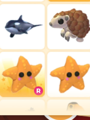 Starfish