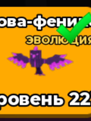топ пет