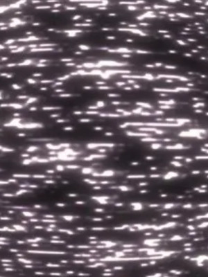 redacted