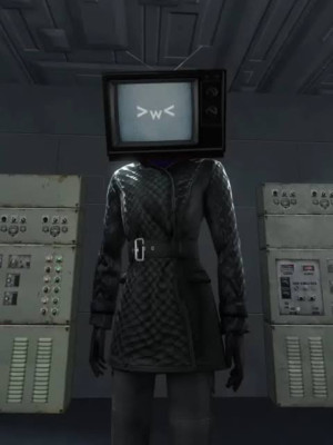 Тв вумен