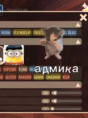 Админка на один раунд