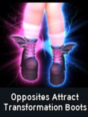 opposites attract transformation boots