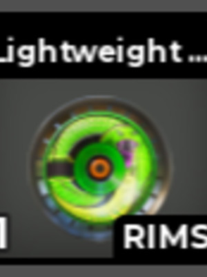 Lightweight Disc (Rim, x1)
