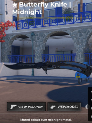 Butterfly Knife Midnight качество SG