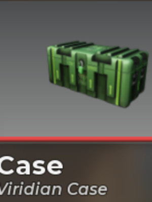 virdian case