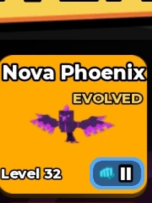 Nova phoenix