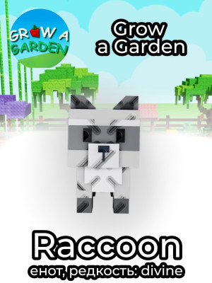 Raccoon | Енот