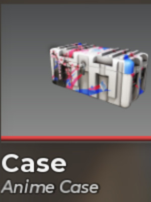 Anime case