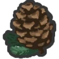 Pinecone