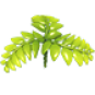 Fern Propeller