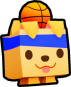 Basketball Retriever