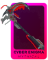 Cyber Enigma