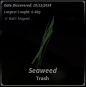 Seaweed