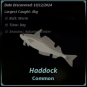 Haddock купить