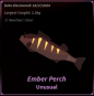 Ember Perch купить