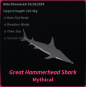 Great Hammerhead Shark купить