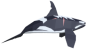 Orca