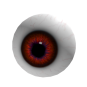 Eyeball