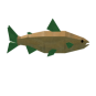 Carrot Salmon