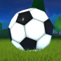 Soccer Ball Challenge