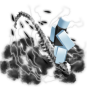 Spinalis Emote