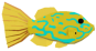 Scrawled Filefish