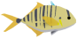 Trevally