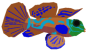 Mandarinfish