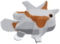 Warty Frogfish