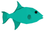 Ocean Triggerfish