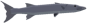 Great Barracuda