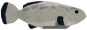 Black Grouper