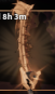 Rod of the Dino Fang