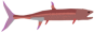 Gillicus
