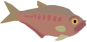 Diplomystus